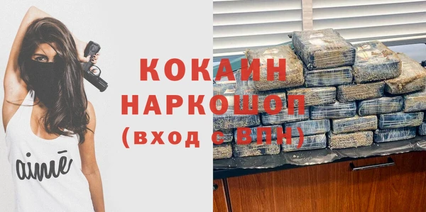 тгк Новодвинск