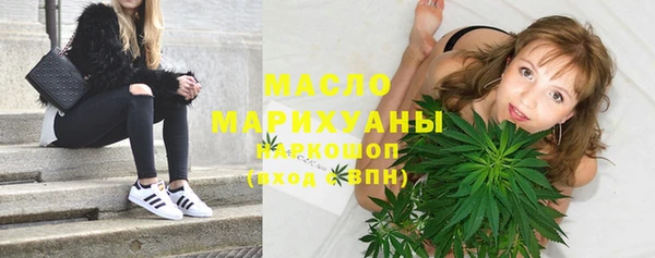 тгк Болотное