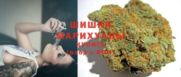 тгк Болотное