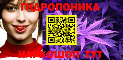 индика Волгодонск