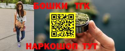 индика Волгодонск