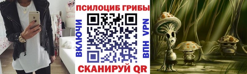 Псилоцибиновые грибы мухоморы  Электрогорск 