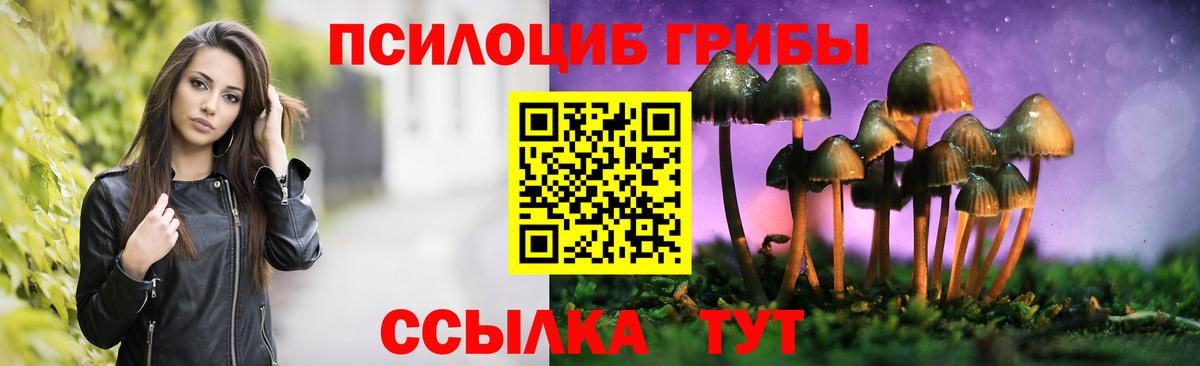 Галлюциногенные грибы Psilocybe  Галлюциногенные грибы Psilocybe  Электрогорск  Вход с VPN 
